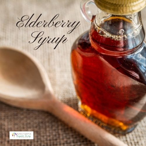Elderberry Syrup Recipe image